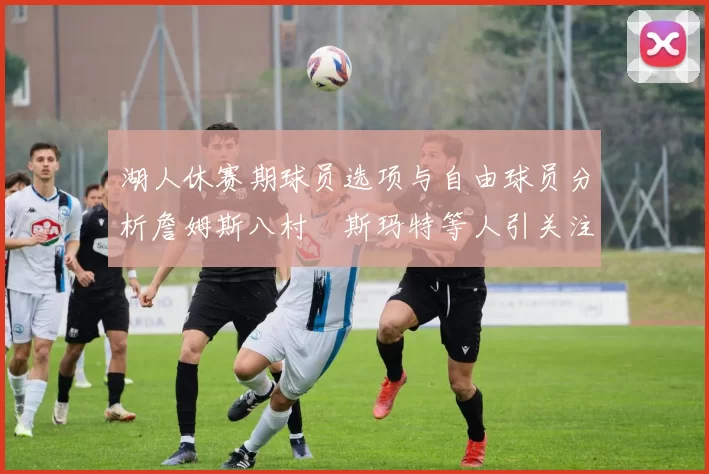 湖人休赛期球员选项与自由球员分析詹姆斯八村塁斯玛特等人引关注